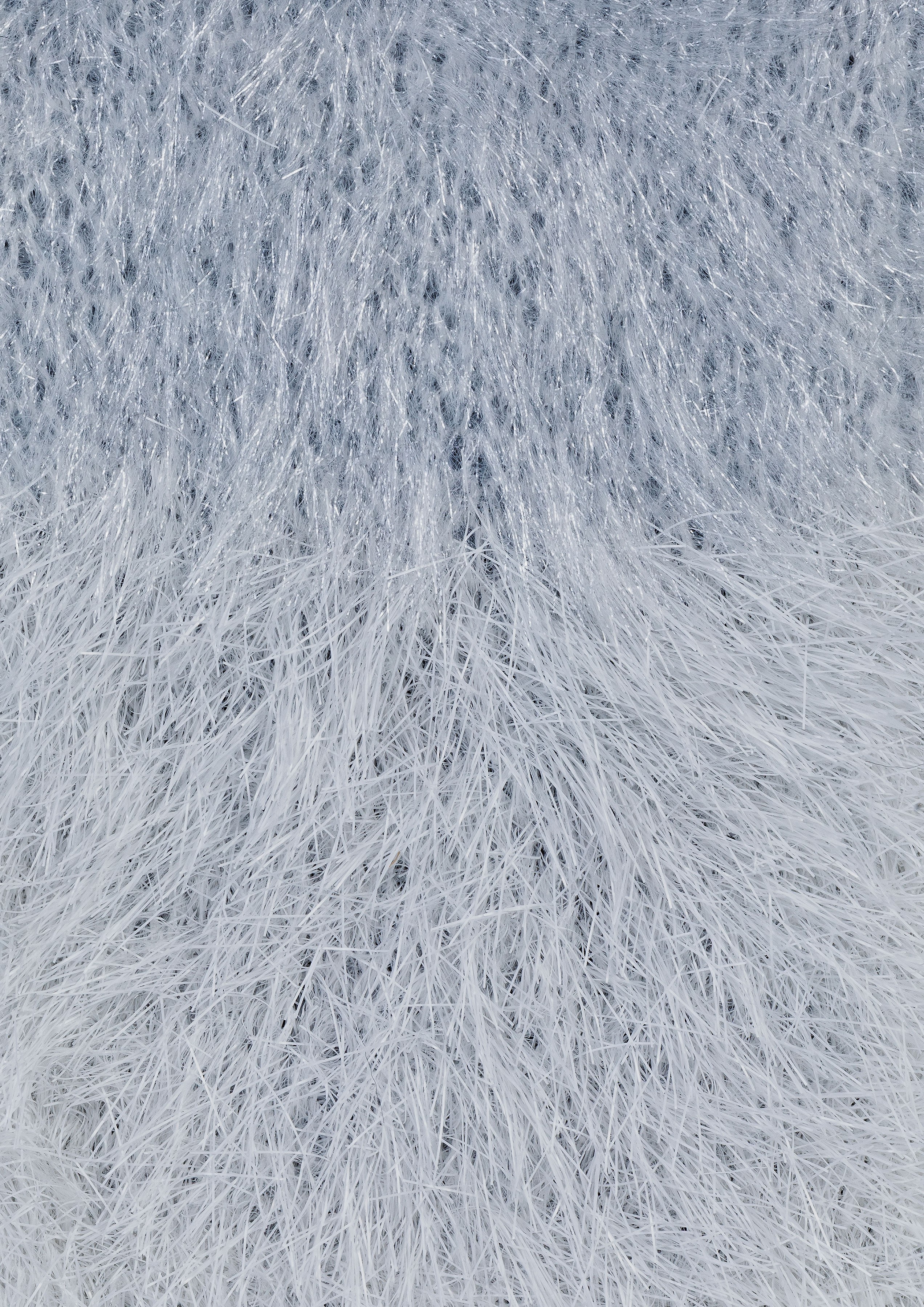 PRISCILLA TRANSPARENT